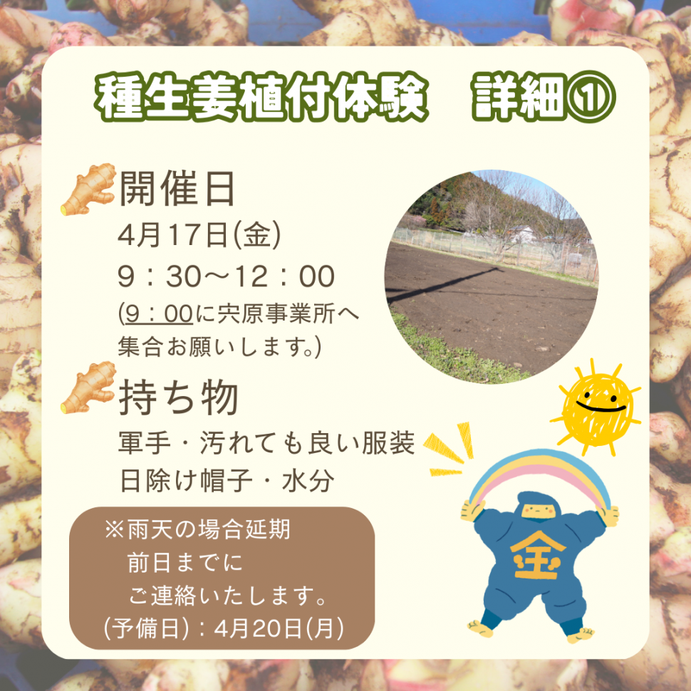 20260310植付体験画像②