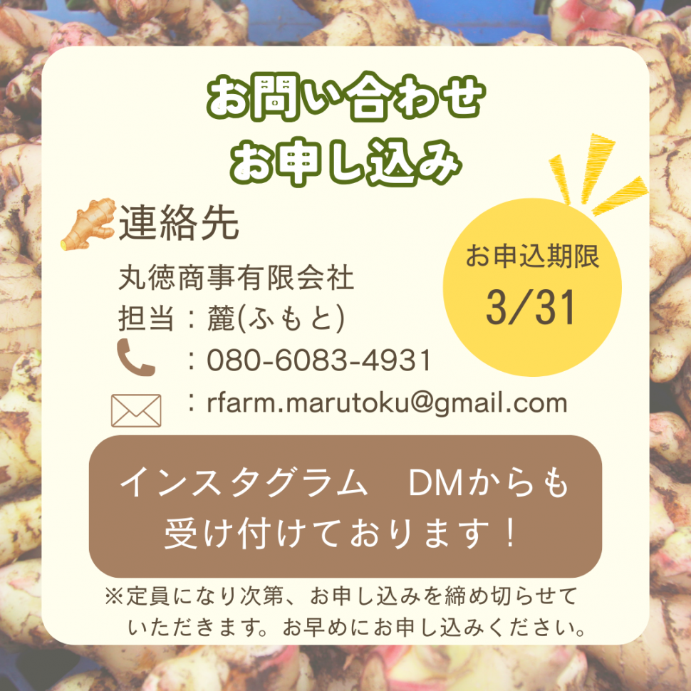 20260310植付体験画像④